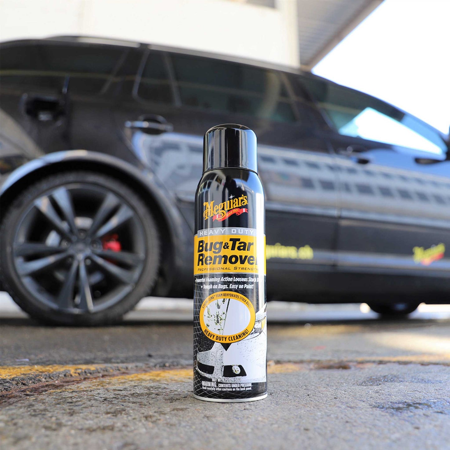 Bug & Tar Remover (444 ml)